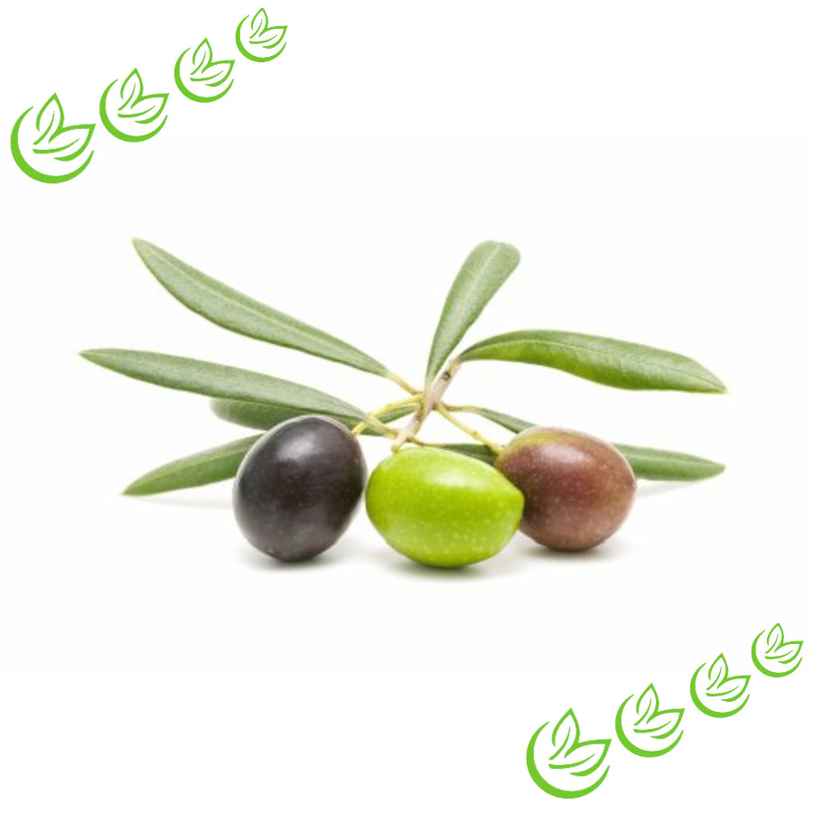 Olivenöl Native Extra BIO